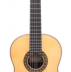 Guitarra Prudencio Saez 2-FP (24)