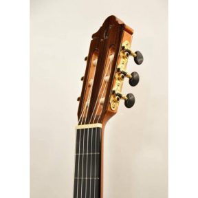 Camps M5S Flamenco Guitar