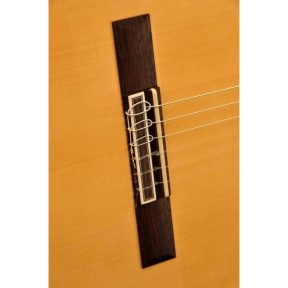 Camps M5S Flamenco Guitar