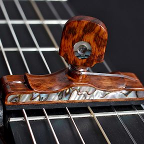 Cejilla nácar palo serpiente