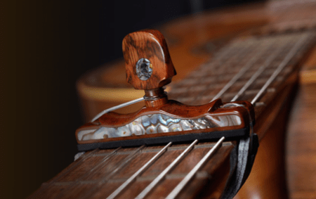 Capo nacar snake wood