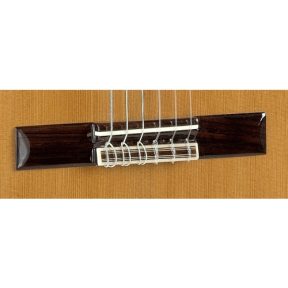 alhambra guitar 5p