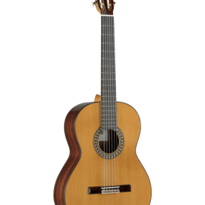 guitarra alhambra 5p