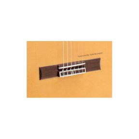 Prudencio Sáez 5-FP