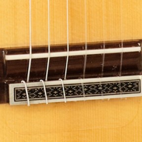 Ayman Bitar Flamenco Guitar