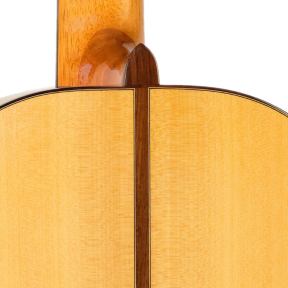 Ayman Bitar Flamenco Guitar