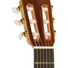 Ayman Bitar Flamenco Guitar