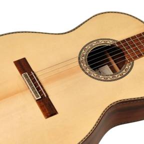 Classical guitar Ayman P. Serpiente(1)