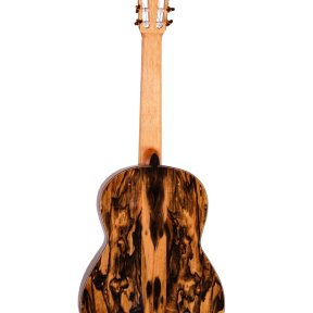 Guitarra Ebano Ayman-3