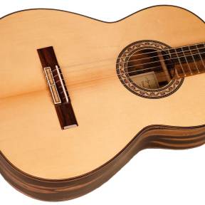 Guitarra Ebano Ayman-4