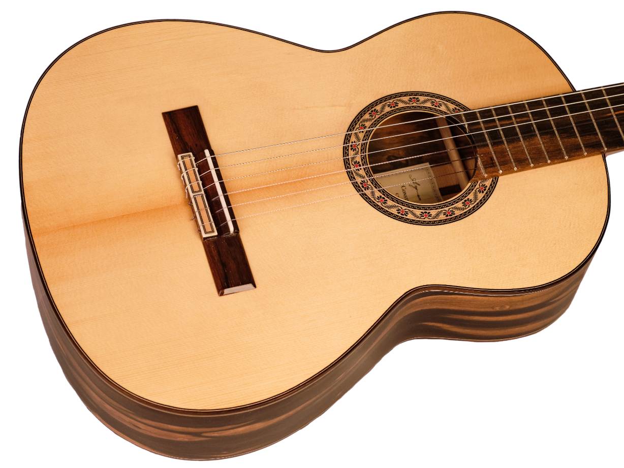 Guitarra Ebano Ayman-4