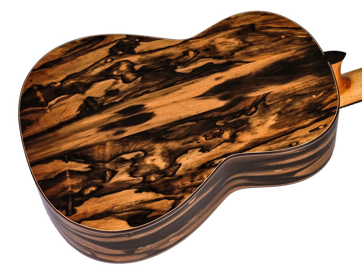 Guitarra Ebano Ayman-5Guitarra Ebano Ayman-5